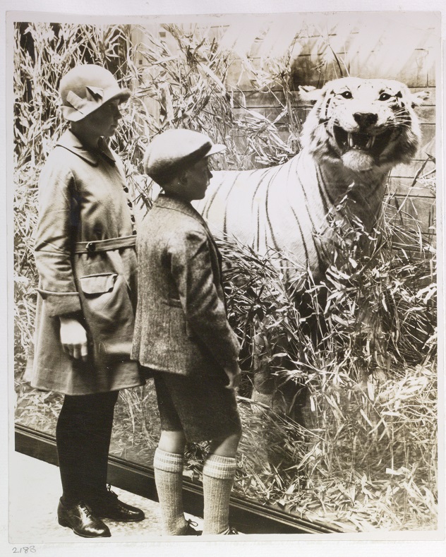 Children and a White Tiger