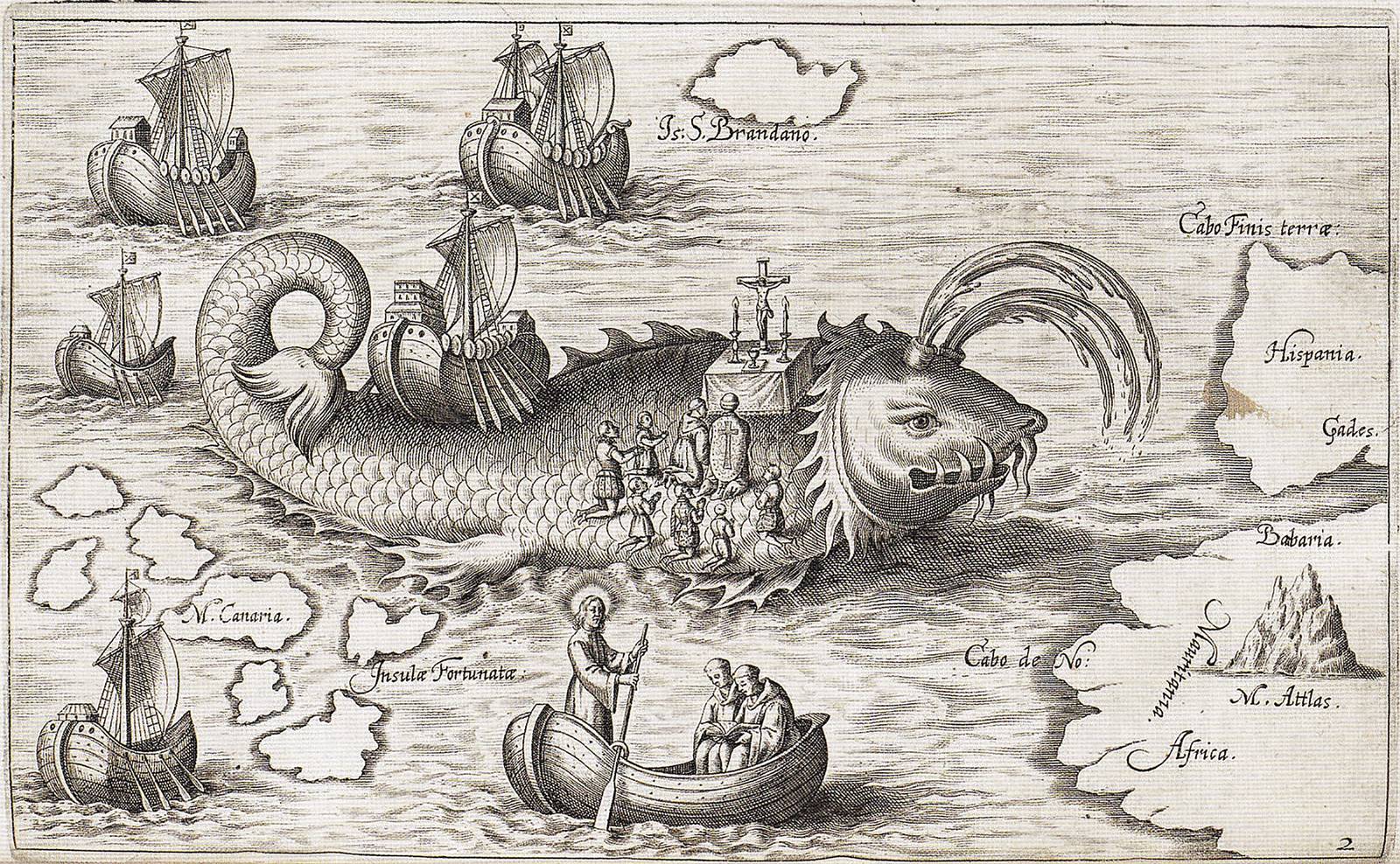 Myth Busted The Aggressive Side Of The Gentle Blue Whale - opg77w2