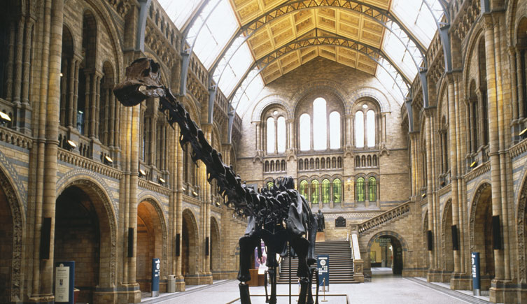 Image result for Natural History Museum in London