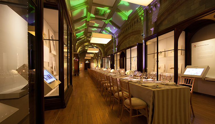 The Images of Nature gallery at the Natural History Museum, ready for an event