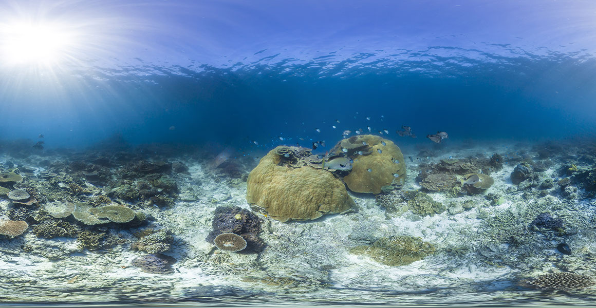 Largest Group Of Coral Reefs 40