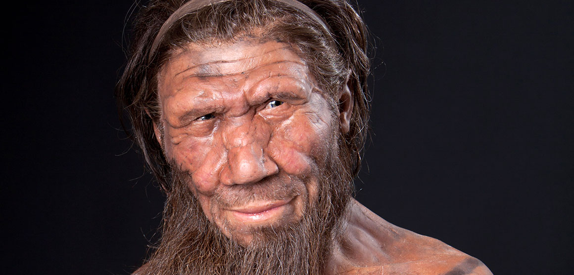 Neanderthal Facial Reconstruction 90