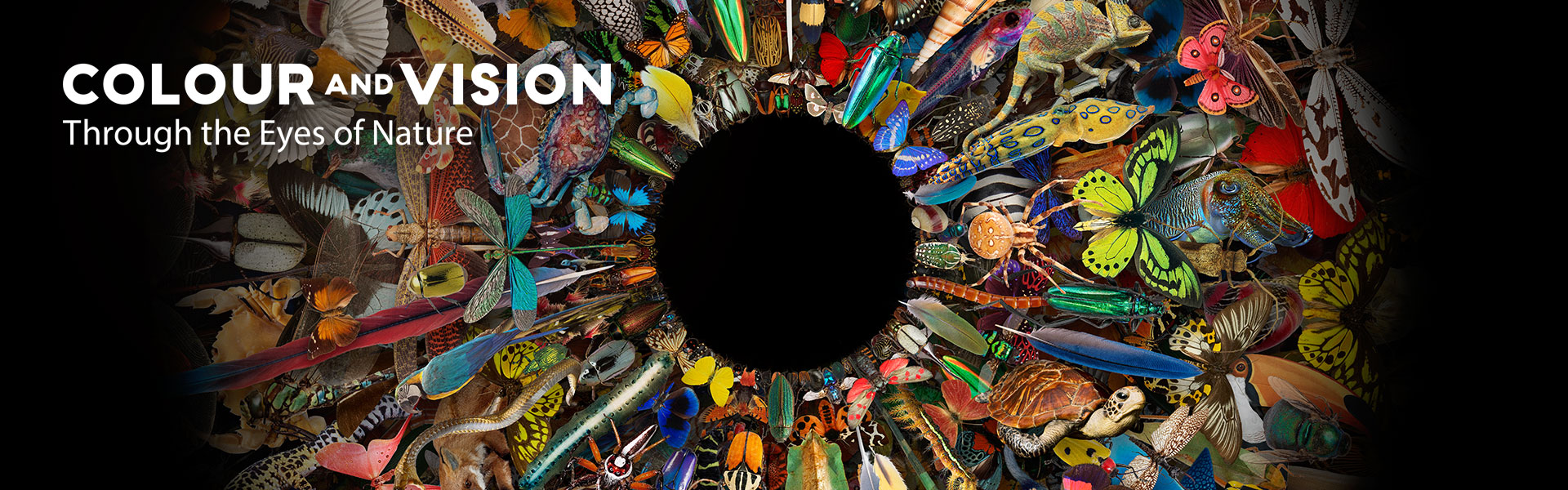 Colour and Vision | Natural History Museum