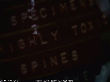 toxic spines labels.jpg