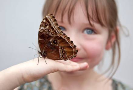 butterfly-release-girl.jpg