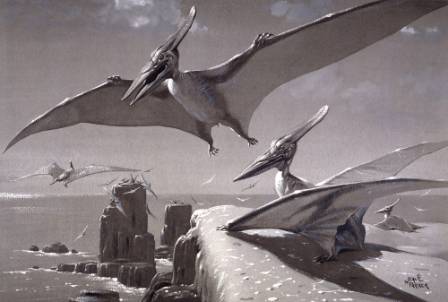 Pterosaur2.jpg