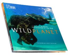 wild-planet-book_1mpx.jpg