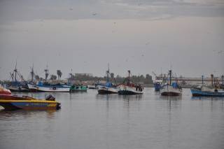 Paracas_fishing_boats_DSC_7761 (Mobile).JPG