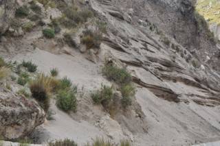 sand dunes (Mobile).JPG