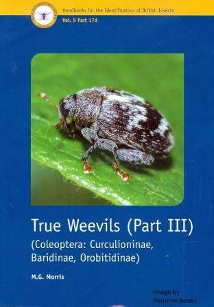 True Weevils 3.jpg