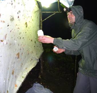 Me at a light trap in Borneo Collecting moths.jpg