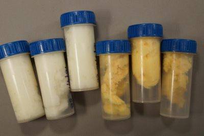 Photo 5 samples lard & margarine LR.jpg