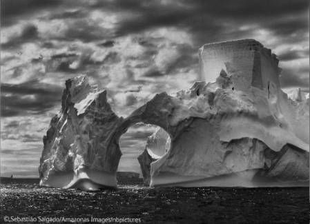 salgado-icebergs.jpg
