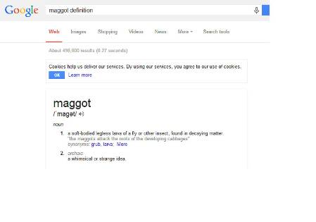 maggot definition.jpg