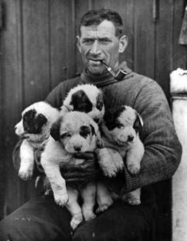 tom_crean and puppies (Small).jpg