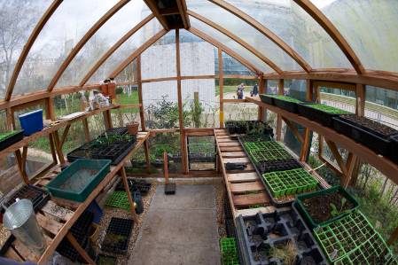 pic10-greenhouse-1500.jpg