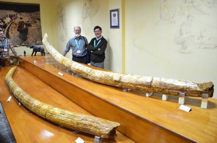 longest-tusks-adrian-lister-1500.jpg