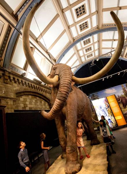 1-columbian-mammoth-kids-1500-tall.jpg