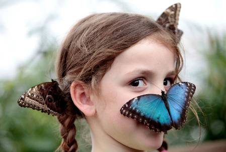 butterfly-girl-face-uncropped-1500.jpg