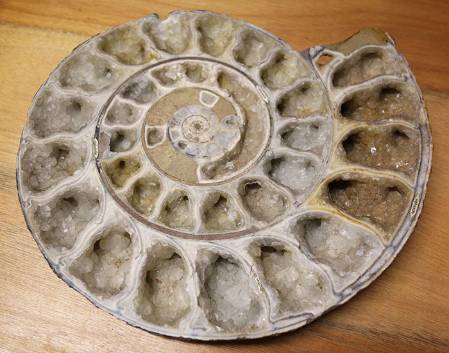 calcite-crystal-ammonite_700.jpg