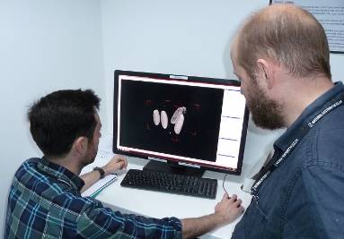 Thomas Simonsen and Daniel Martin-Vega analysing CT images of 5 pupae.jpg