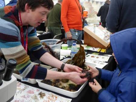 Anthony discussing seaweeds with a child.jpg