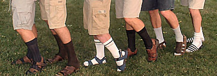 http://www.nhm.ac.uk/natureplus/servlet/JiveServlet/showImage/38-1986-21512/socks+and+sandals+curatorweb.jpg?fromGateway=true