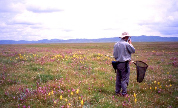 PHW on E Tibetan Plateau PHW on E Tibetan Plateau