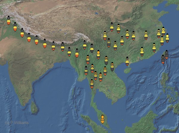 geographical variation geographical variation