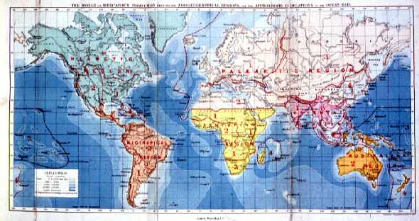 Biogeographic regions of the world from Wallace (1876)