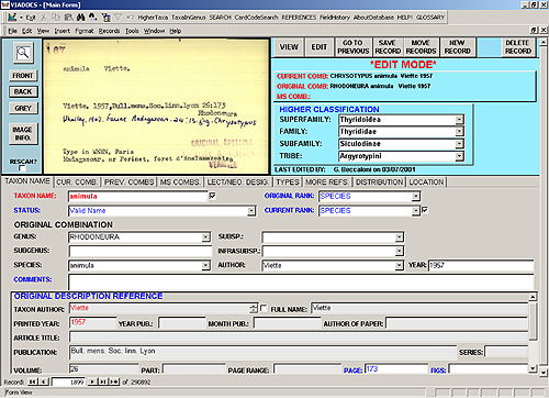 access database projects examples