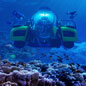 David Attenborough's Great Barrier Reef Dive
