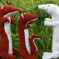 The Animal Story puppet show