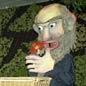 Storytelling with Puppets: Jackie and the Beanstalk & Three Billy Goats Gruff