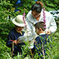 Wildlife Garden Explorers