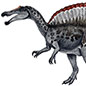 Walking Like Dinosaurs