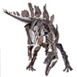 Stegosaur Mysteries
