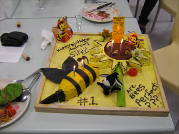 Vegan Birthday Cake on Andrew   S Bee Birthday Cake    Antarctic Heritage Trust