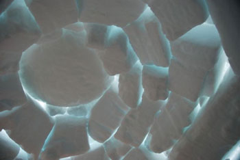 Igloo In Antarctica