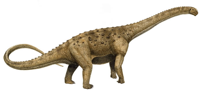 http://www.nhm.ac.uk/resources/nature-online/life/dinosaurs/dino-directory/colour/src/Janenschia.jpg