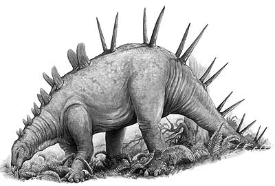 http://www.nhm.ac.uk/resources/nature-online/life/dinosaurs/dino-directory/drawing/Chialingosaurus.jpg