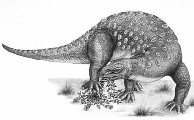 dino rivals minmi