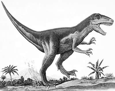 images of nature drawing. How Piatnitzkysaurus may have