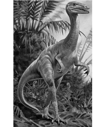 Podokesaurus.jpg