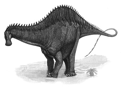 http://www.nhm.ac.uk/resources/nature-online/life/dinosaurs/dino-directory/drawing/Rebbachisaurus.jpg