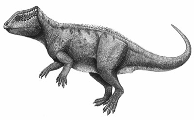 http://www.nhm.ac.uk/resources/nature-online/life/dinosaurs/dino-directory/drawing/Yinlong.jpg