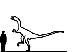 http://www.nhm.ac.uk/resources/nature-online/life/dinosaurs/dino-directory/scale/Liliensternus.gif