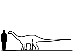 Magyarosaurus.gif