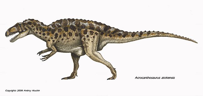 AcrocanthosaurusC.jpg
