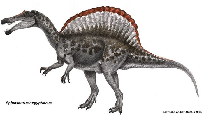 SpinosaurusC.jpg